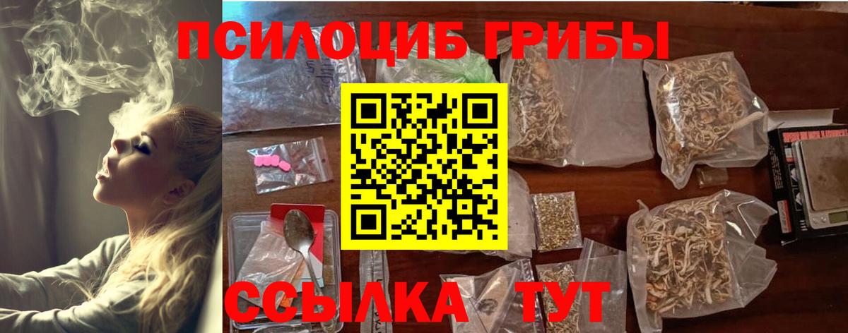 Галлюциногенные грибы Cubensis Кашира
