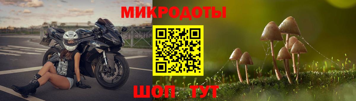 Галлюциногенные грибы Cubensis  купить   Кашира  Псилоцибиновые грибы мухоморы  Вход с VPN 